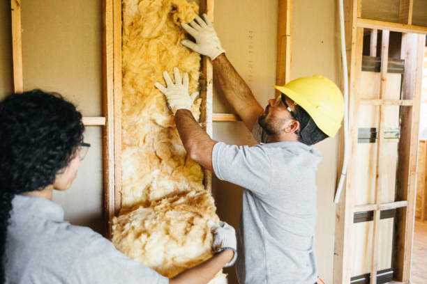 Best Insulation for New Construction  in Highland Village, TX